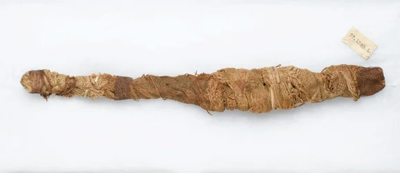 Krokodilmumie, gefunden in Manfalont, 305 v. Chr.-30 v. Chr.