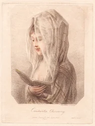 Die bezaubernde Constantia