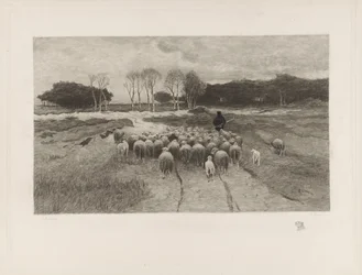 Schäfer