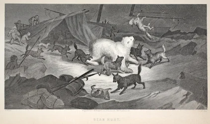 Bärenjagd, Illustration aus 