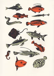 Orangefarbener Fisch, 2016