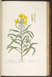 Tafel 179, aus 