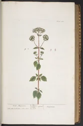 Tafel 280, aus 
