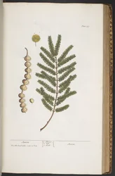 Tafel 377, aus 