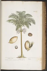 Tafel 387, aus 