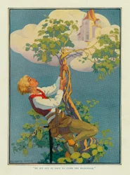 Er machte sich sofort auf den Weg, um die Bohnenstange zu erklimmen, aus Stokes Wunderbuch der Märchen, veröffentlicht 1917