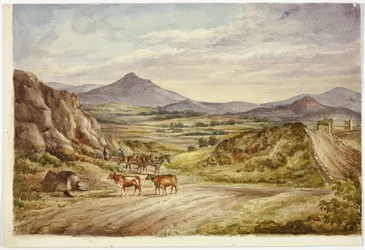 Wicklow Hills