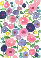 Mohnblumen in Blüte