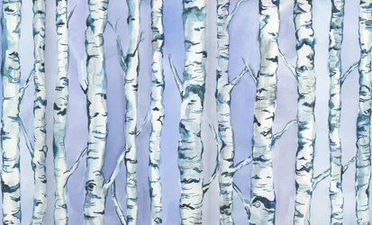 Silberbirkenwald, 2018
