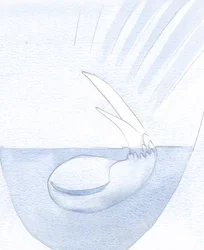 Der Samen der Seele hatte sich in Stille und Dunkelheit erweicht, damit eines Tages ein Spross erscheinen könnte