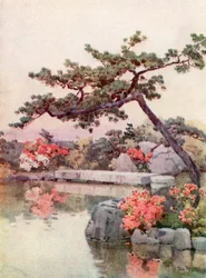 Azaleen in einem Garten in Kyoto