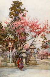 Pflaumenblüte und Laternen