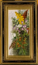 Wildblumen