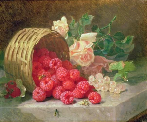 Umgestürzter Korb mit Himbeeren und weißen Johannisbeeren