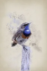 Serenes Aquarell-Blaurücken