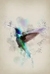 Lebendiges Aquarell-Kolibri