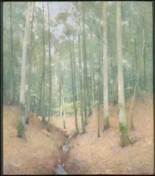 Holzinterieur