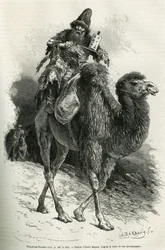 Der Führer und Dolmetscher der Expedition, Chutun Dzamba, 58 Jahre alt, auf seinem Kamel kauernd, murmelte unablässig Gebete, Zeichnung von Emile Bayard zur Illustration der Reise in die Mongolei und in das Land der Tanguten von 1870 bis 1873, von dem