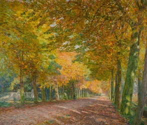Sonniger Weg