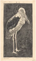 Marabu