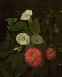 Rosen und Epomenea