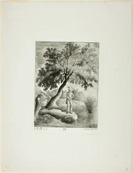 Der Fischer