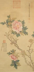 Pfingstrose, Qing-Dynastie