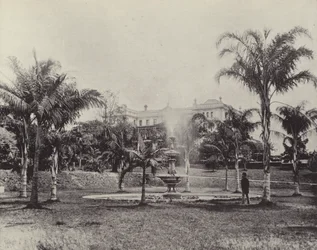 Palmen und Brunnen, Botanische Gärten, Brisbane
