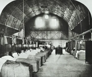 St Thomas Hospital: Temporäre Station in Surrey Gardens Music Hall, 1868