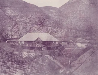 Teeplantage, Ceylon