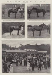 Das Ascot-Treffen von 1901
