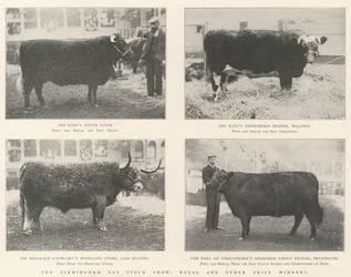 Die Birmingham Fat Stock Show, königliche und andere Preisträger