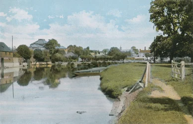 Die Ulmen und der Fluss Themse bei Abingdon