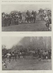 Der Prinz und die Prinzessin von Wales in Badminton, mit den Beaufort-Hunden, 4. März
