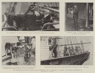 Die Rückkehr der Polarexpedition von Leutnant Peary, die Windward in Sydney, Cape Breton, 18. September