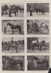 Die Royal Dublin Horse Show, 26.-29. August