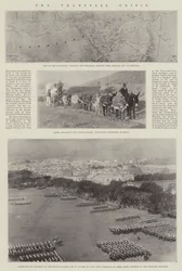 Die Transvaal-Krise