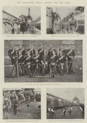 Die Transvaal-Krise, Truppen für das Kap