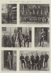 Die Transvaal-Krise, Truppen für das Kap