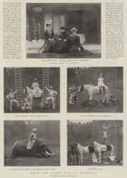 Was die Königin in Balmoral sah