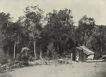 Holzfällers Hütte, Knysna