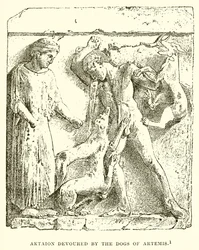 Aktaion wird von den Hunden der Artemis verschlungen
