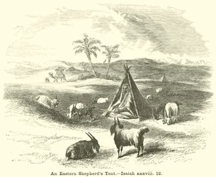 Ein östliches Hirtenzelt