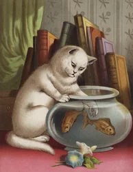 Blanchie und der Goldfisch