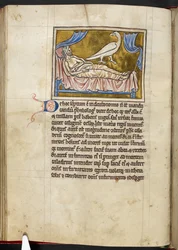 Caladrius-Vogel - Bestiarium, Royal MS 12 C XIX, f.47v