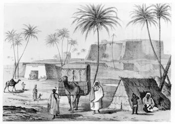 Kamelstreu in Morzouk im Fezzan, Libyen, aus Narrative of Travels in Northern Africa von G.F. Lyon, veröffentlicht 1821