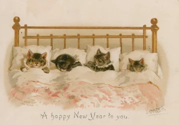Schlafende Katzen