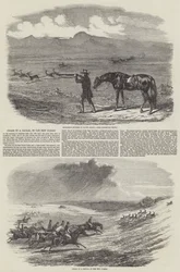 Jagd auf einen Schakal im New Forest (Stich)