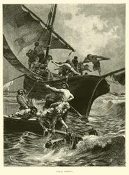 Korallenfischen
