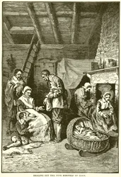 Verteilung der fünf Maiskörner